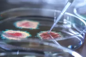 micron: un informe del Reino Unido muestra qu vacuna usada como refuerzo genera mayor proteccin