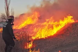 Hay dos provincias que registran focos de incendios forestales activos