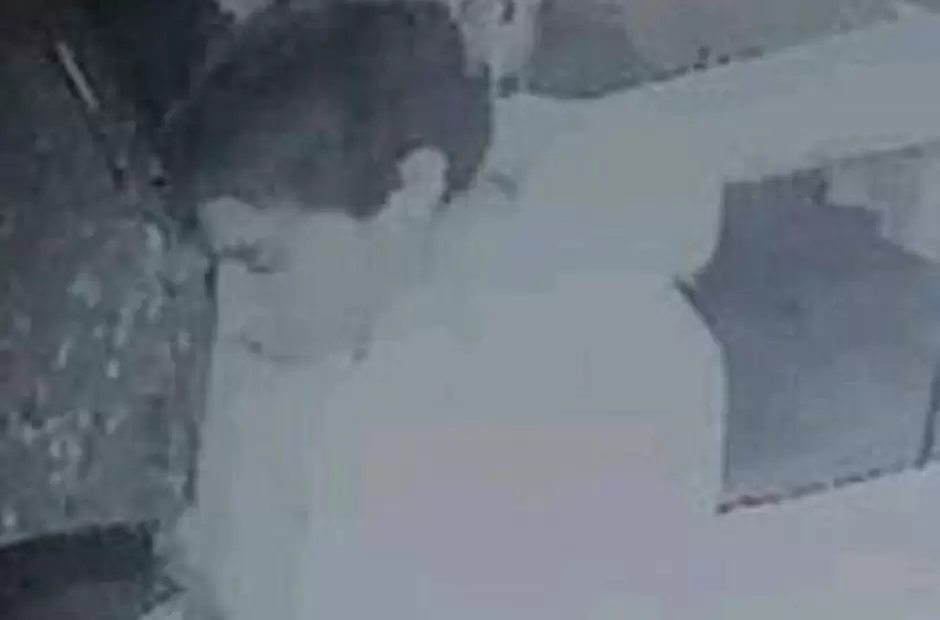 Captura de pantalla del supuesto ladrn