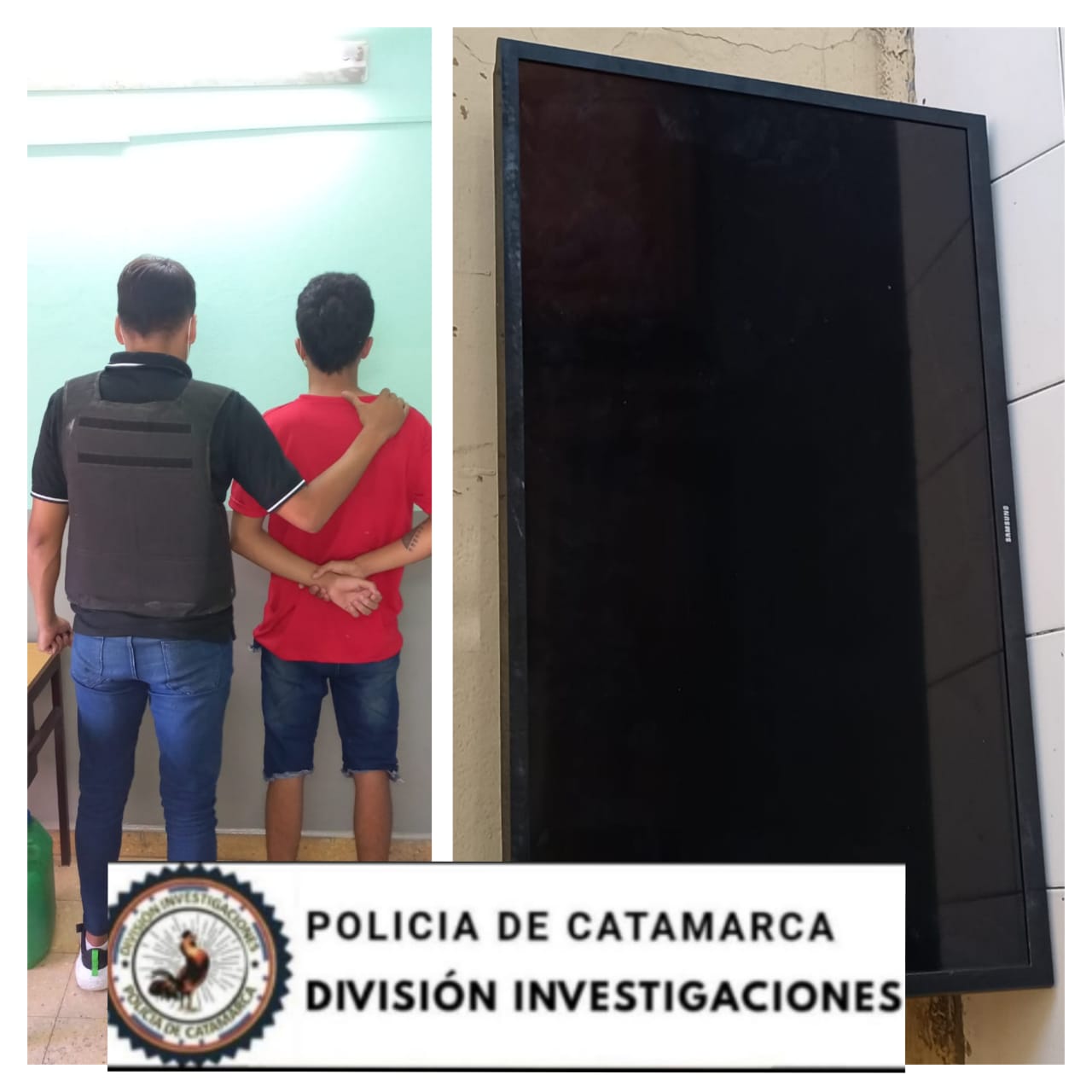 Detienen a un joven por el robo de un televisor - La Unión Digital