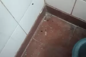 Es imposible tener a una persona internada en las condiciones de mugre que tiene el hospital