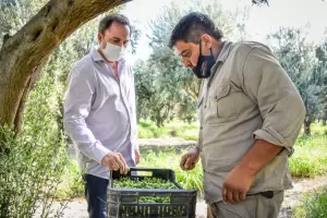 El Ministro Mera recorri� campos oliv�colas