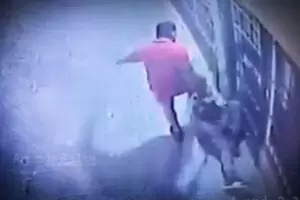 Un comerciante golpe a un ladrn que buscaba entrar a su negocio para robarle