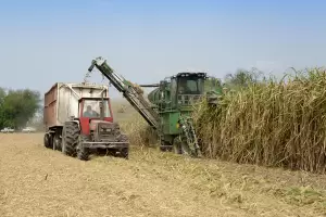 Caeros registran prdidas por ms de $ 1.500 millones por la sequa