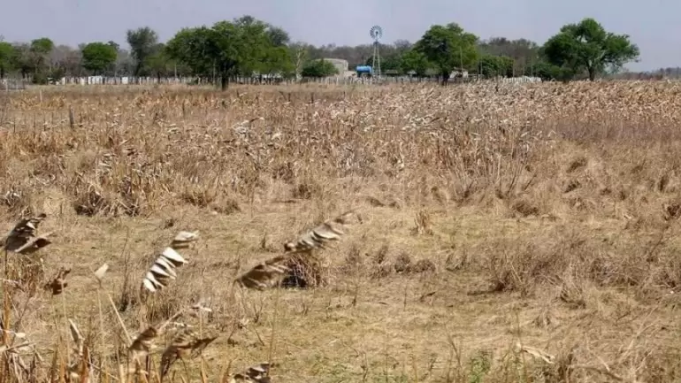 emergencia agropecuaria corrientes
