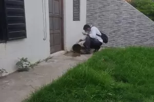 Agentes sanitarios refuerzan acciones, tras el primer caso de dengue