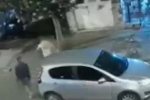 Ins�lito: Dos ladrones desvalijaron una casa y antes de irse pidieron perd�n