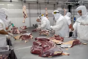 El Ministerio de Salud advirti sobre un brote de Fiebre Q en un frigorfico de Entre Ros