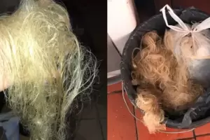 Fue a la peluquera a teirse para su fiesta de 15 y qued pelada