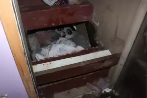 Hallaron con vida a una nia desaparecida en 2019: Su abuelo y sus padres la tenan encerrada en un hueco