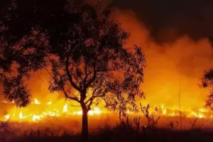 Corrientes: es imposible apagar el fuego y lo nico que puede parar esto es la naturaleza