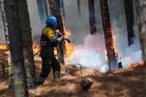 Continan activos dos focos de incendios en Corrientes y Ro Negro