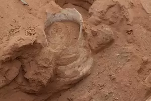 Hallaron una urna funeraria con restos fsiles en su interior