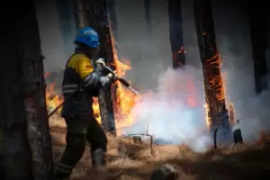 En Corrientes el fuego ya arras 800 mil hectreas y hay prdidas millonarias