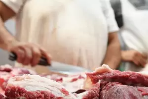 Hurtan $70 mil de una carnicer�a