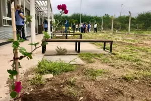 rboles para el jardn maternal del CAPE