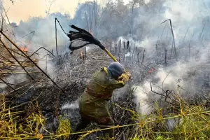 Los incendios se redujeron en un 30% en Corrientes, inform Valds