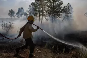 Incendios forestales: continan los focos activos en Corrientes y Ro Negro