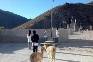 Comienzo de clases en el interior: la foto viral que emociona