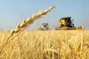 Los derechos de exportacin podran recibir una nueva suba