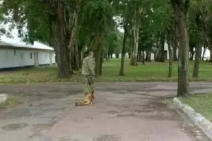 Aberrrante: el cruel final de Malevo, el perro que un suboficial del Ejrcito maltrat hasta matar