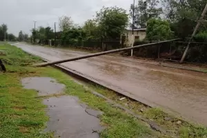 Cayeron postes y columnas en Los Altos por el temporal