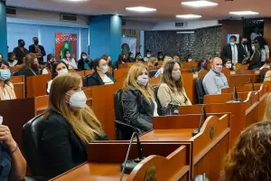 Diputados del FTD piden restituir la banca a una concejal de Icao