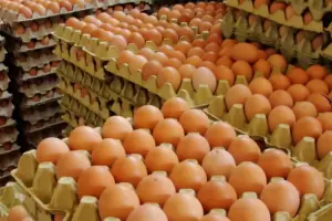 Inflacin: lechuga, tomate, huevos y carne, los alimentos que ms subieron de precio en febrero