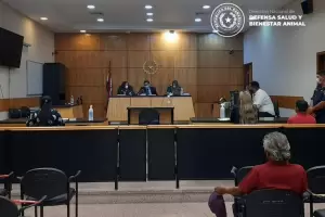 Comenz el juicio contra un hombre acusado de haber abusado sexualmente de una gallina
