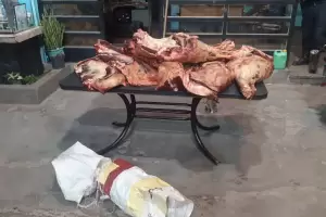 Iban en auto con carne faenada en el bal