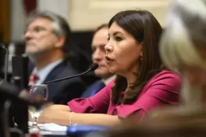 El discurso de la senadora tucumana que se viraliz� en redes sociales durante la sesi�n del Senado