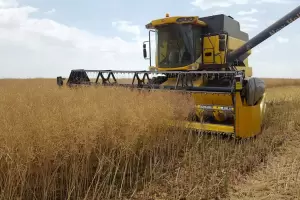 El Gobierno prorrog embarques de trigo para evitar desabastecimiento