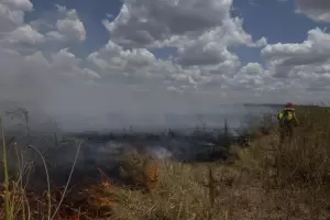 Continan activos tres focos de incendios forestales en dos provincias
