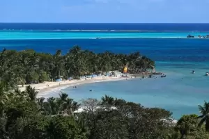 Un turista italiano muri tras ser atacado por un tiburn en una playa