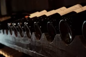 La guerra entre Rusia y Ucrania impacta en la exportacin de vinos argentinos