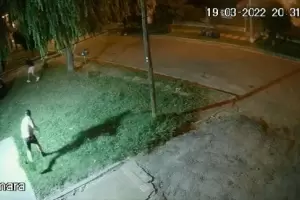 Video: Le dispararon para robarle el auto y se defendi a las pedradas