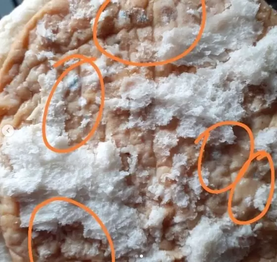 viandas con comida podrida en una escuela