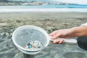 Hallan por primera vez microplsticos en el torrente sanguneo humano