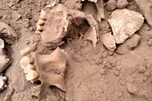 Macabro hallazgo en Beln: Estaban paseando y encontraron restos seos humanos