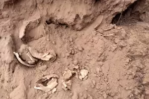 Misterio en La Rioja: hallan restos �seos en el patio de una vivienda