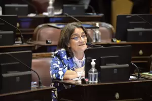 Corpacci participa del debate por la modificaci�n del Consejo de la Magistratura