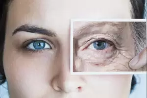 Utilizando la tecnologa de la oveja Dolly, cientficos rejuvenecieron 30 aos las clulas de la piel de una mujer