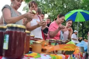 Catamarca, una de las 9 provincias donde la economa popular desplaza al empleo privado