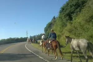 Por presencia de peregrinos a caballo, precaucin al transitar por las rutas 38 y 64