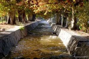 Clima en Catamarca: cmo arranca el lunes?