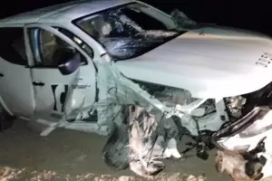 Accidente por animales sueltos en Ruta Nacional N 40