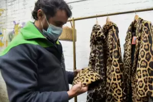 Un local venda tapados hechos con animales en peligro de extincin