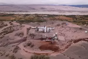 Fiambal, la zona que mejor pag la uva cereza en el pas