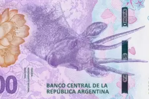 Presentaron un proyecto de ley que busca quitarle dos ceros al peso argentino