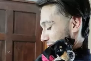 Volva de trabajar y le robaron la mochila en la que llevaba a su perro